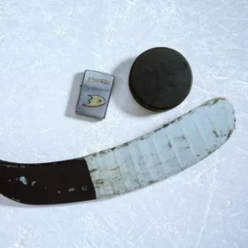 Anaheim Ducks® Logo Tasarımı