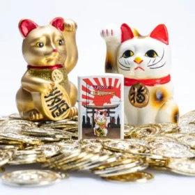 Şanslı Kedi Tasarımı