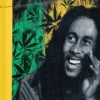 Bob Marley Güneş Işığı Tasarımı