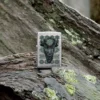 Buck Wear™ Bizon Tasarımı