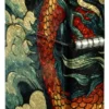 Dragon Fusion Tasarımı