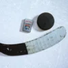 Florida Panthers® Logo Tasarımı