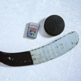 Florida Panthers® Logo Tasarımı