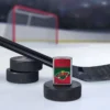 Minnesota Wild® İkon Tasarımı