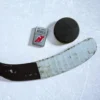 New Jersey Devils® Logo Tasarımı
