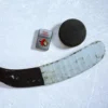 Ottawa Senators® Logo Tasarımı