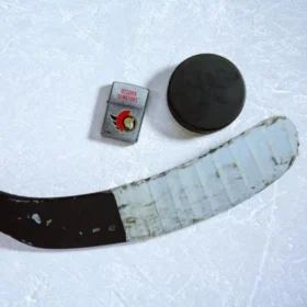Ottawa Senators® Logo Tasarımı