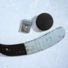 Pittsburgh Penguins® Logo Tasarımı