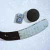 Winnipeg Jets™ Logo Tasarımı